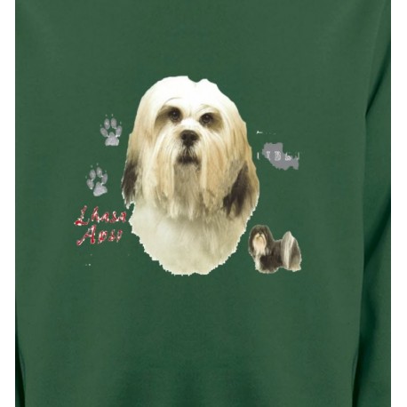 Lhassa Apso (B)