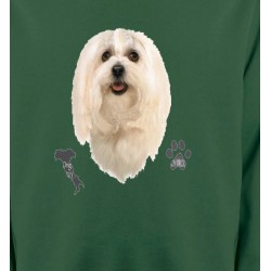 Sweatshirts Races de chiens Maltais (A)