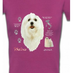 T-Shirts Races de chiens Maltais (B)