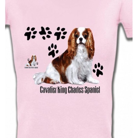 Cavalier King Charles (A)
