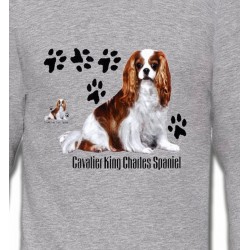 Cavalier King Charles (A)