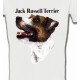 Jack Russell Terrier (I)