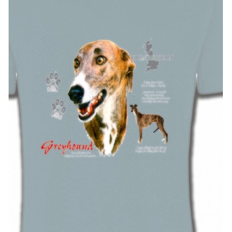 Greyhound Lévrier  (N)