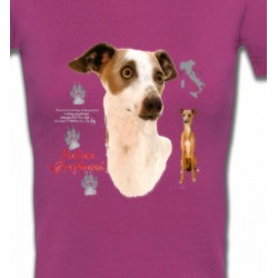 T-Shirts T-Shirts Col V Femmes Lévrier Italien Greyhound (J)