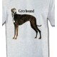 Greyhound Lévrier (H)
