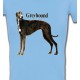 Greyhound Lévrier (H)