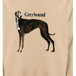 Sweatshirts Sweatshirts Enfants Greyhound Lévrier (H)
