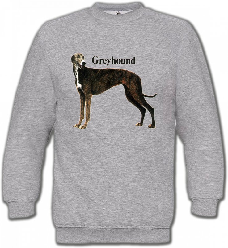 Sweatshirts Unisexe Greyhound Greyhound Lévrier (H)