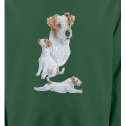 Sweatshirts Races de chiens Fox Terrier (G)