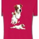 Fox Terrier Chiot