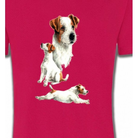 Fox Terrier Chiot