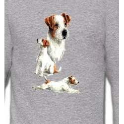 Sweatshirts Fox Terrier Fox Terrier Chiot