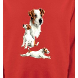 Sweatshirts Fox Terrier Fox Terrier Chiot