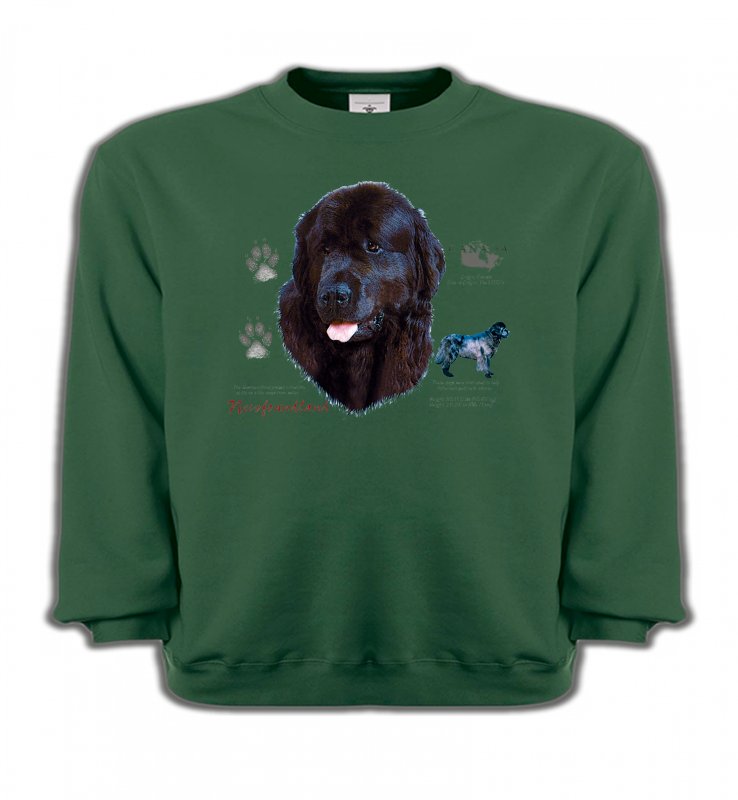 Sweatshirts Enfants Terre Neuve Terre Neuve (A)