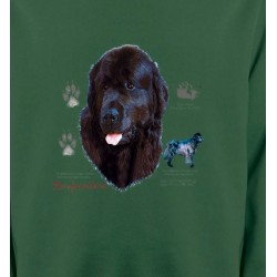 Sweatshirts Races de chiens Terre Neuve (A)