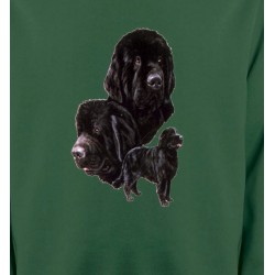 Sweatshirts Races de chiens Terre Neuve (B)