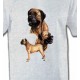 Mastiff (D)