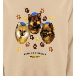 Sweatshirts Races de chiens Spitz Poméranien (D)