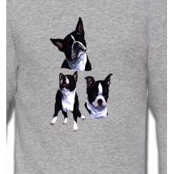 Sweatshirts Races de chiens Bulldog Français noir et blanc (BF)