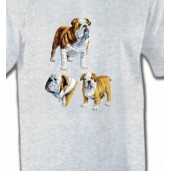 T-Shirts Bulldog Bulldog Anglais (C)