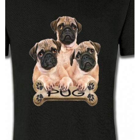 Carlin Pug (B)