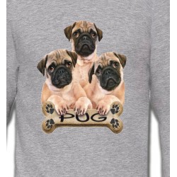 Sweatshirts Races de chiens Carlin Pug (B)