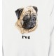 Carlin Pug (C)
