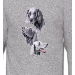 Sweatshirts Sweatshirts Enfants Braque de Weimar gris