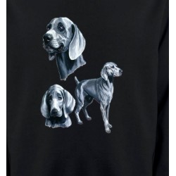 Sweatshirts Races de chiens Braque de Weimar gris