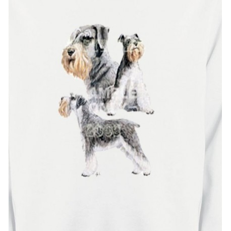Schnauzer (C)