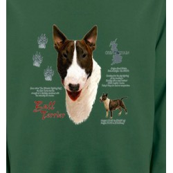 Sweatshirts Sweatshirts Enfants Bull Terrier (E)