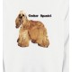 Cocker Spaniel beige (D)