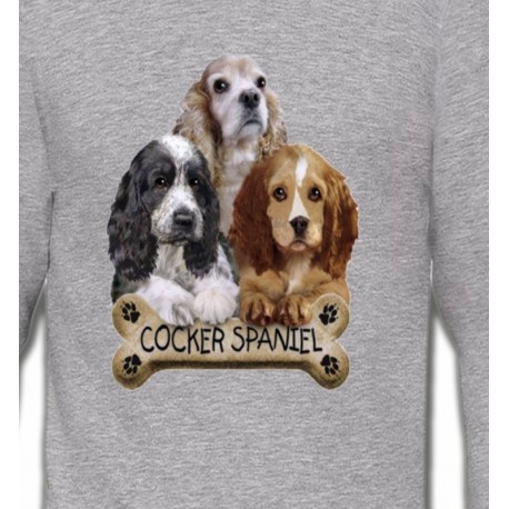 Cocker Spaniel chiots