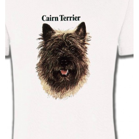 Cairn Terrier (C)