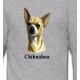 Chihuahua (C)
