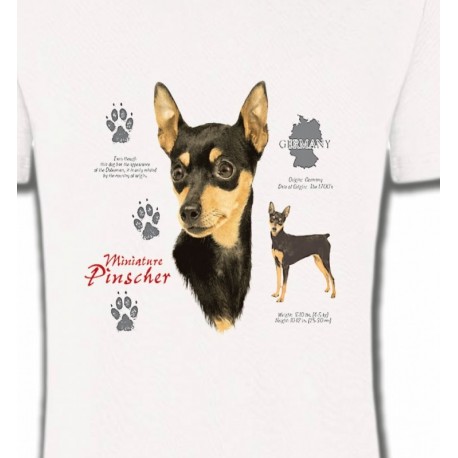 Pincher (A)