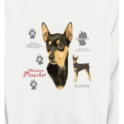 Sweatshirts Races de chiens Pincher (A)