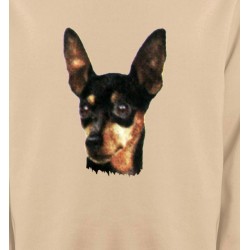Sweatshirts Races de chiens Pincher (B)