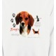 Beagle (A)