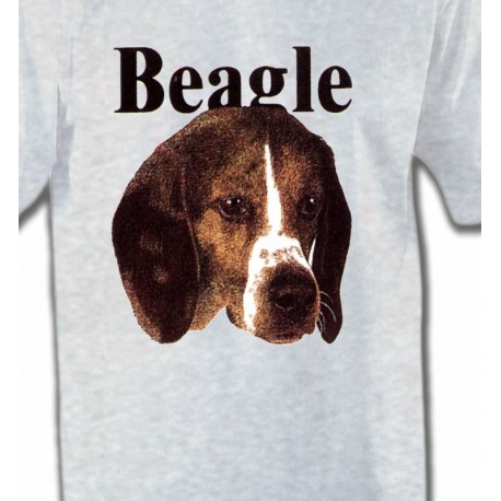 Beagle (D)