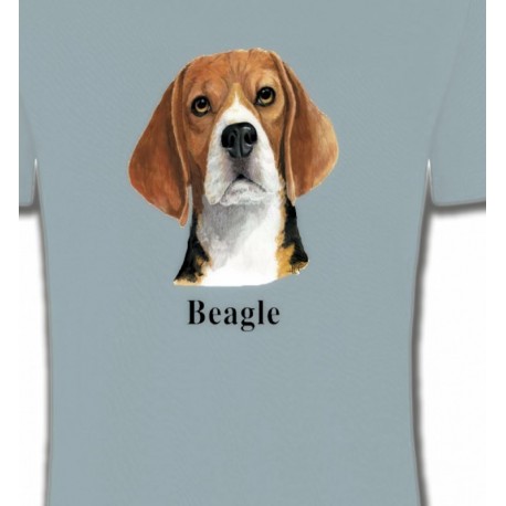 Beagle (C)