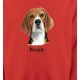 Beagle (C)