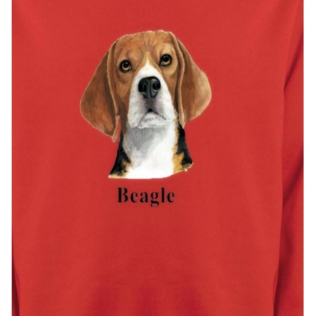 Beagle (C)