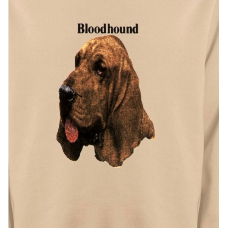 Bloodhound – Saint-Hubert (A)