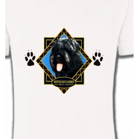 Bouvier des Flandres (B)