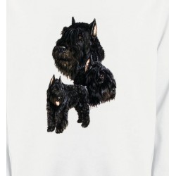 Sweatshirts Races de chiens Bouvier des Flandres noir (C)
