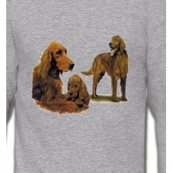 Sweatshirts Races de chiens Setter brun (J)