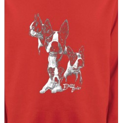 Sweatshirts Races de chiens Boston Terrier (B)