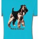 Welsh Terrier (F)