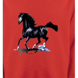 Sweatshirts Cheval pur sang cheval noir (O)